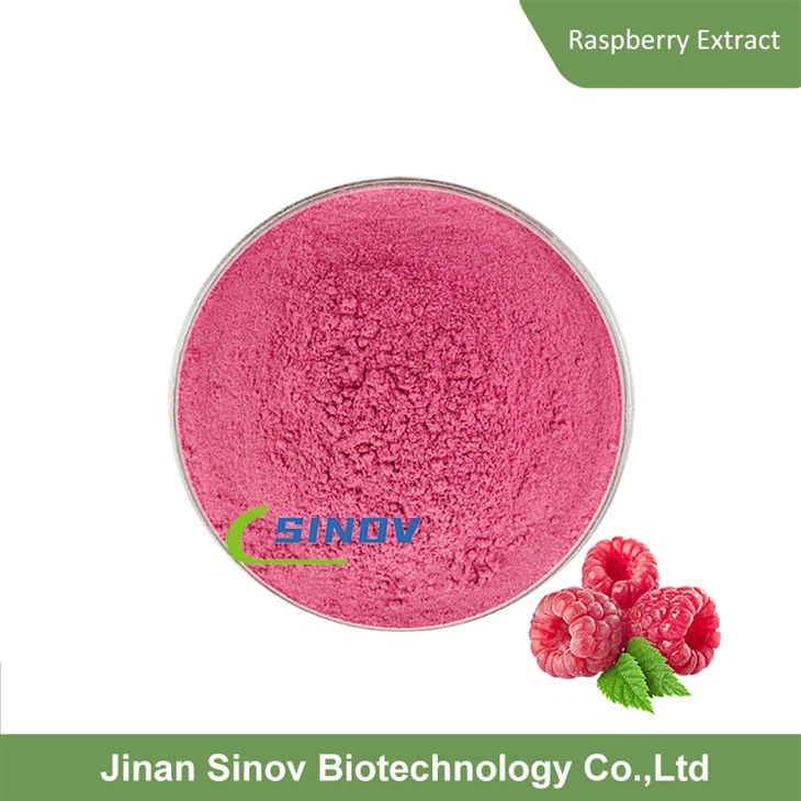 Raspberry Extract Powder